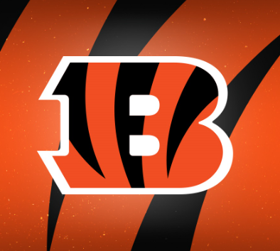 (NFL) Bengals Team Card Pack