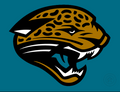 (NFL) Jaguars Team Card Pack