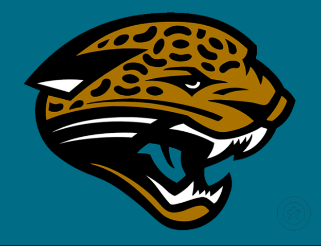 (NFL) Jaguars Team Card Pack