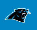 (NFL) Panthers Team Card Pack