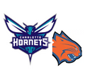 (NBA) Hornets/Bobcats Team Card Pack
