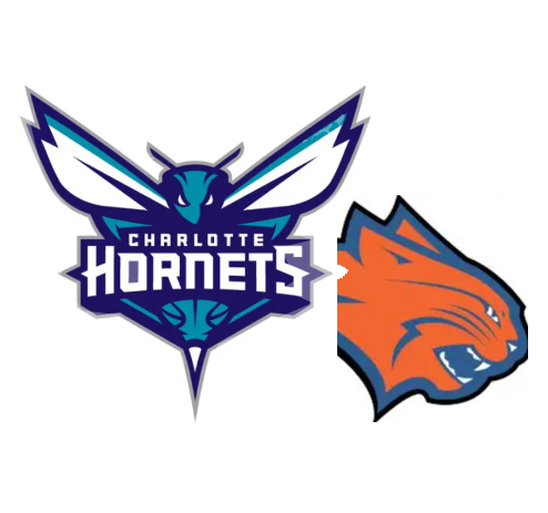 (NBA) Hornets/Bobcats Team Card Pack